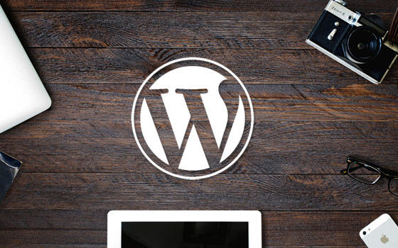 Read "Why Bloggers Love These 5 Wordpress Plugins"